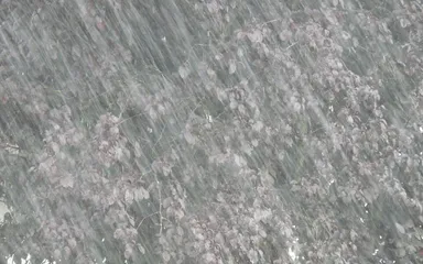 Schlichte Eleganz